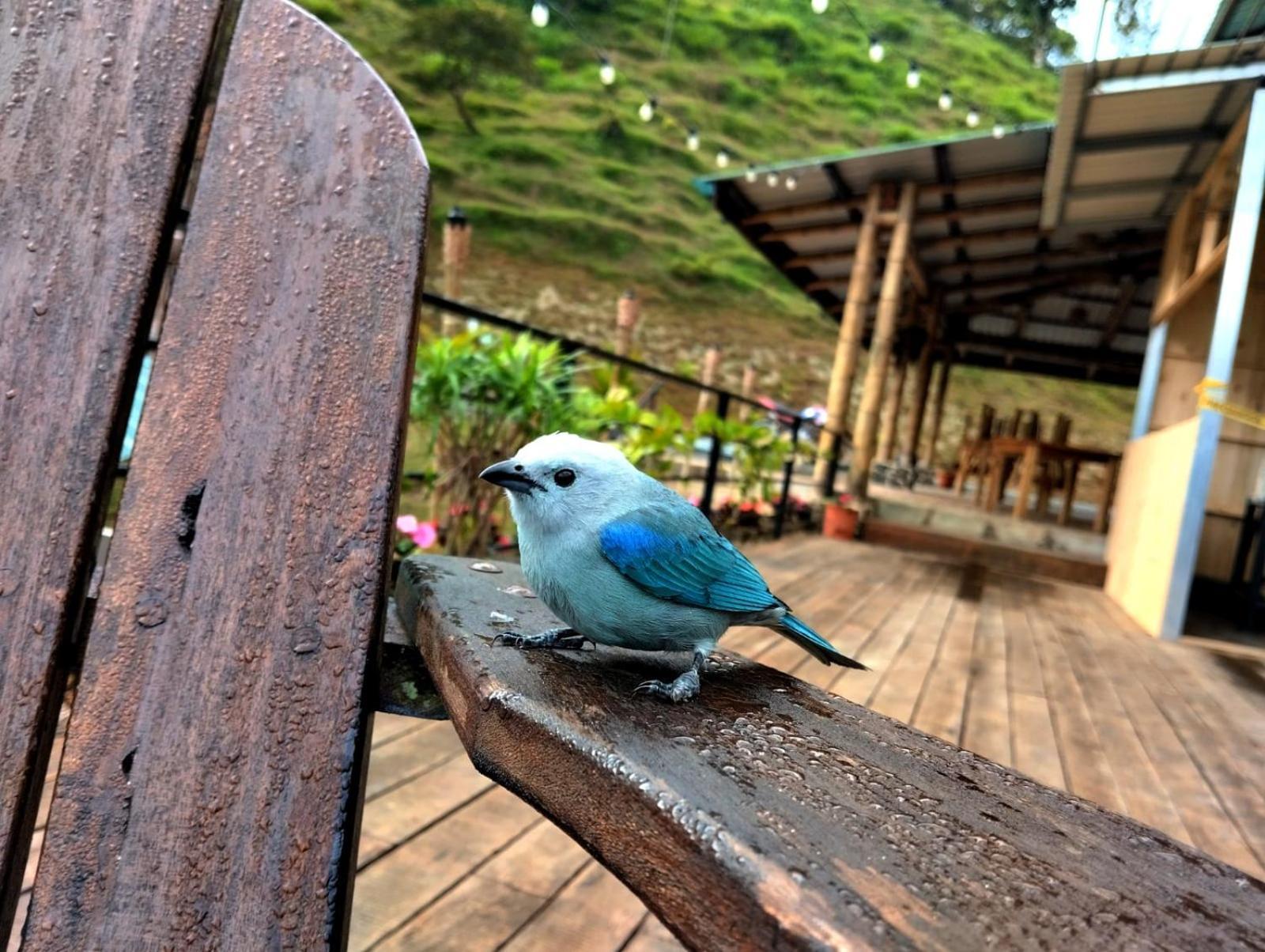 Hotel Rivel - Adventure&Nature Retreat Turrialba Exterior foto