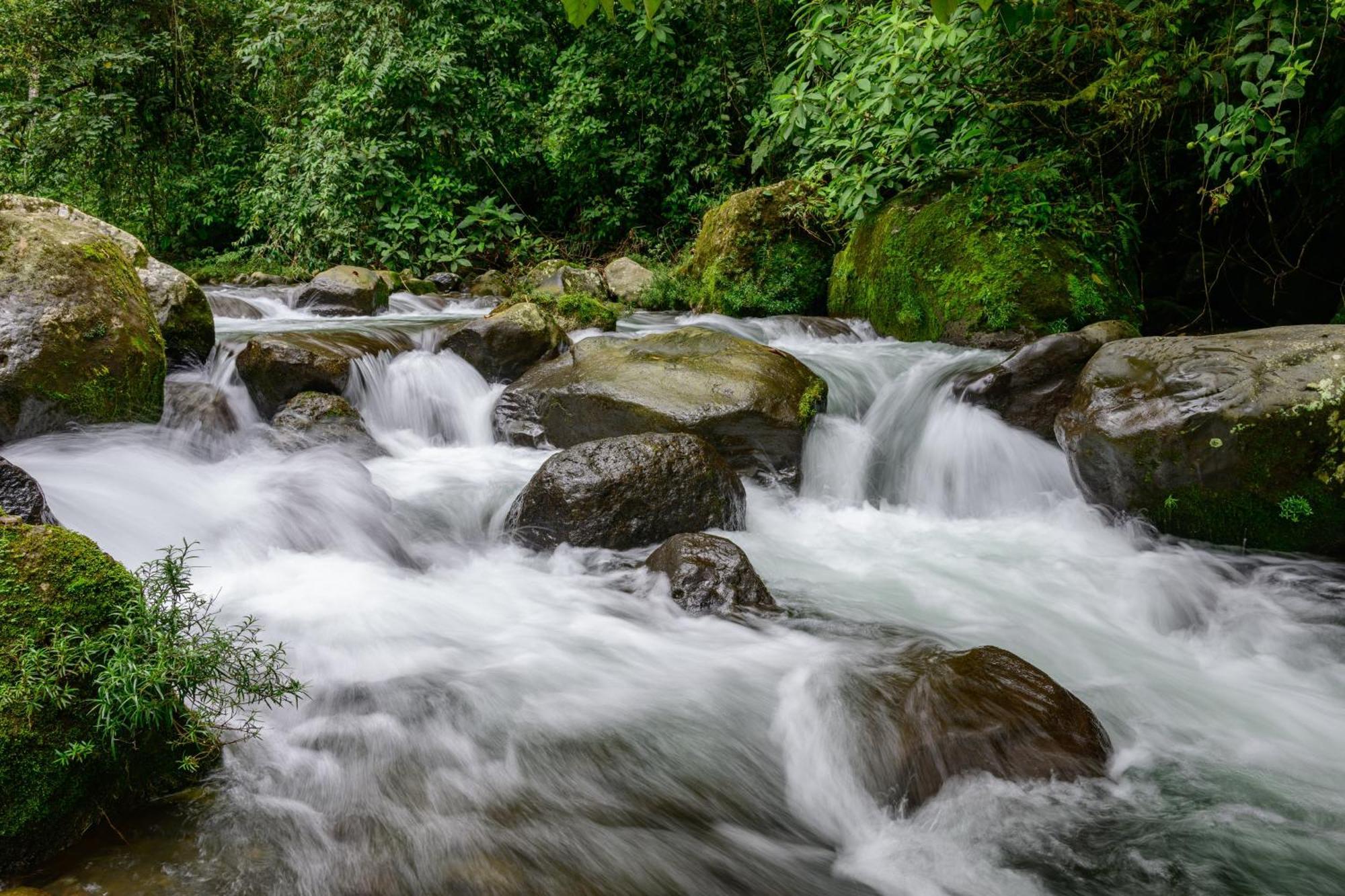 Hotel Rivel - Adventure&Nature Retreat Turrialba Exterior foto
