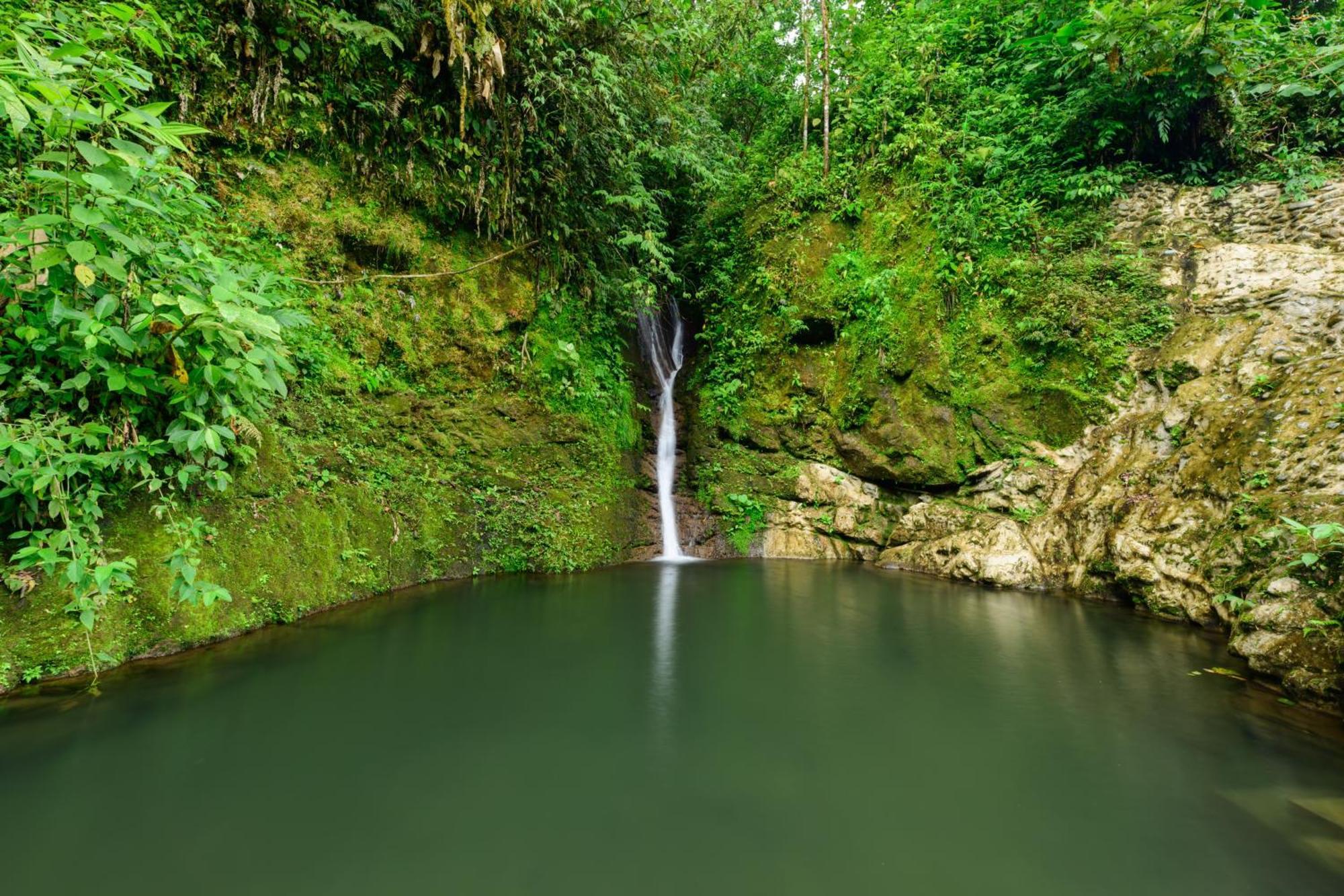 Hotel Rivel - Adventure&Nature Retreat Turrialba Exterior foto