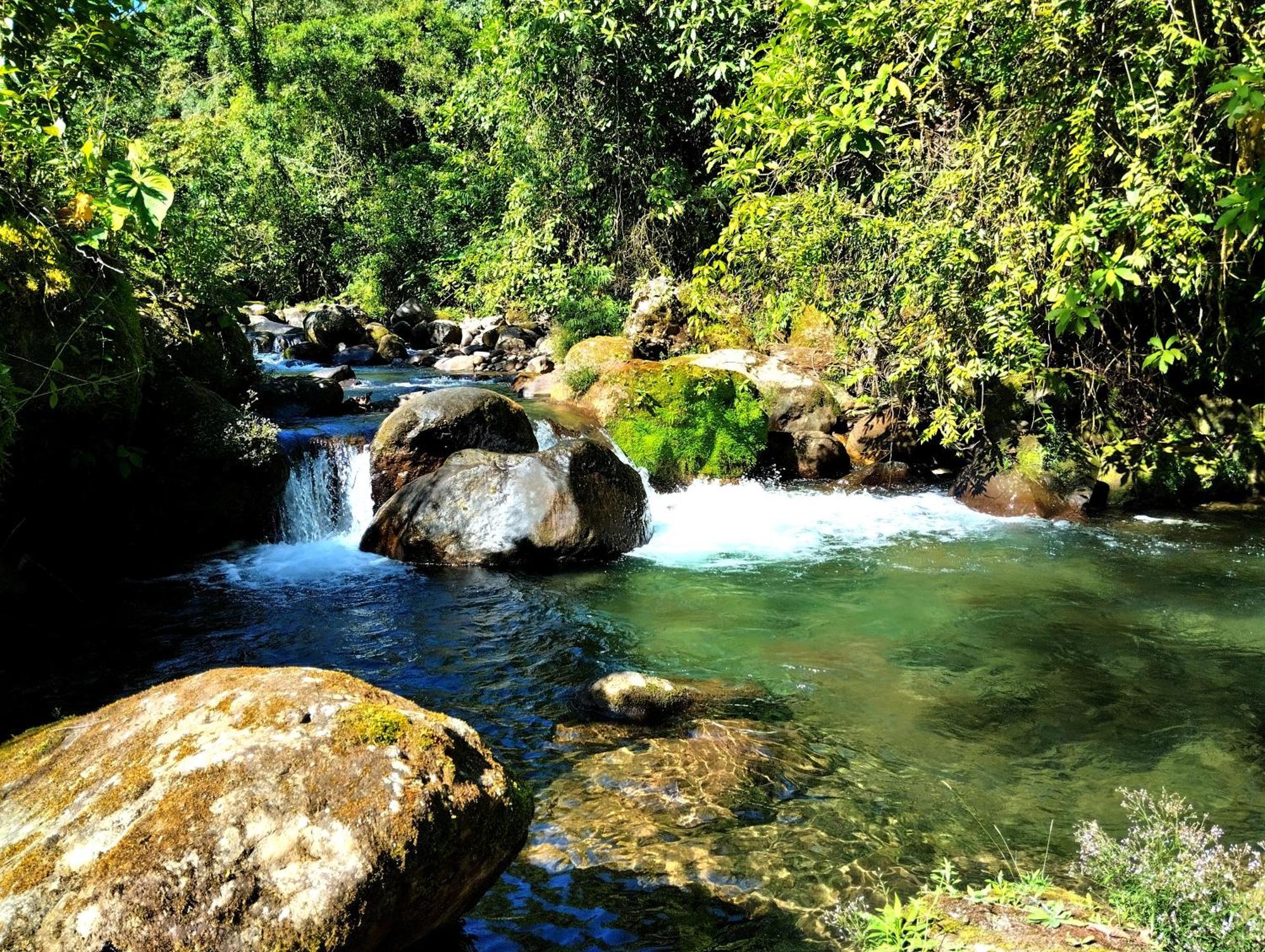 Hotel Rivel - Adventure&Nature Retreat Turrialba Exterior foto