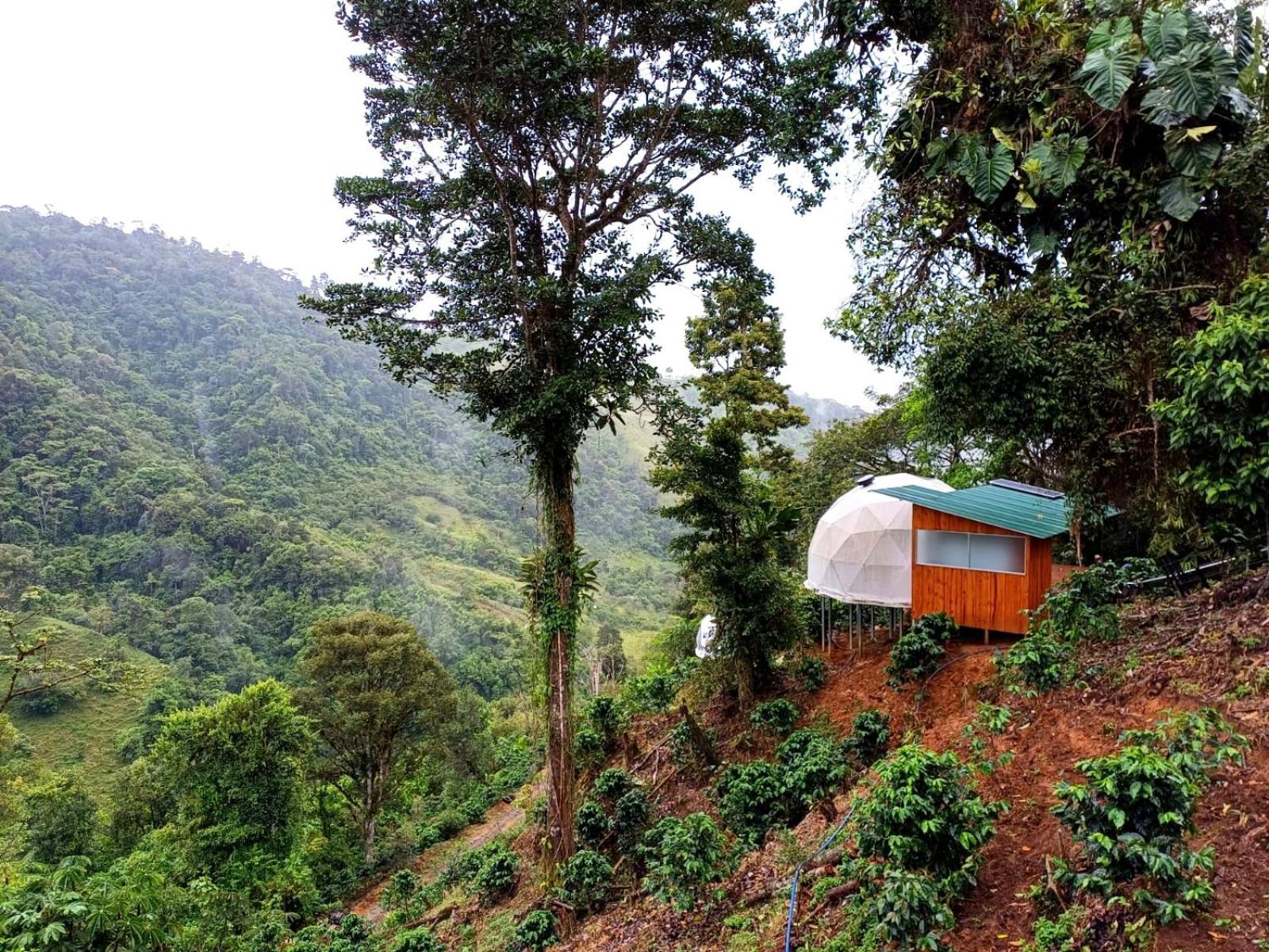 Hotel Rivel - Adventure&Nature Retreat Turrialba Exterior foto