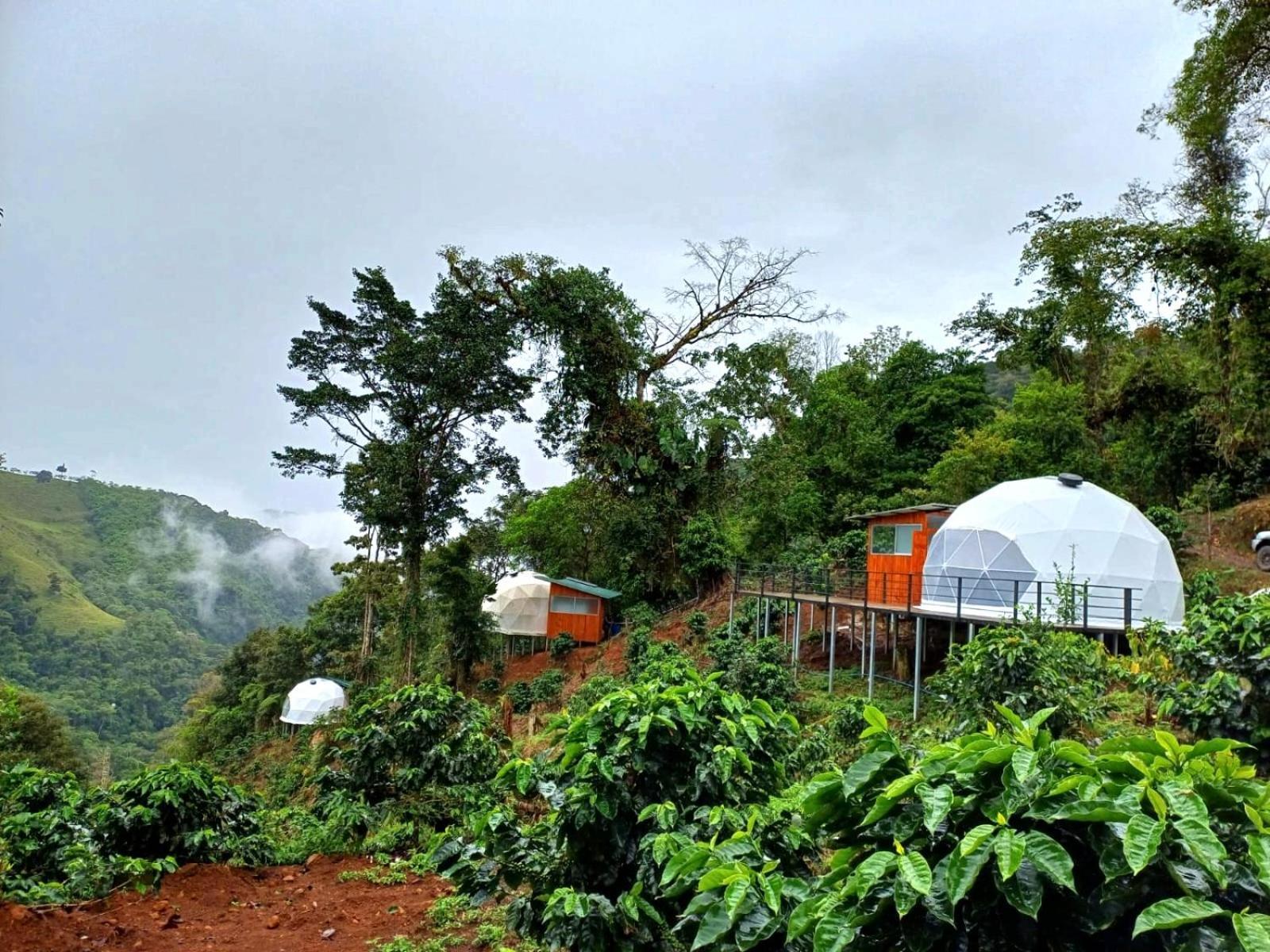 Hotel Rivel - Adventure&Nature Retreat Turrialba Exterior foto