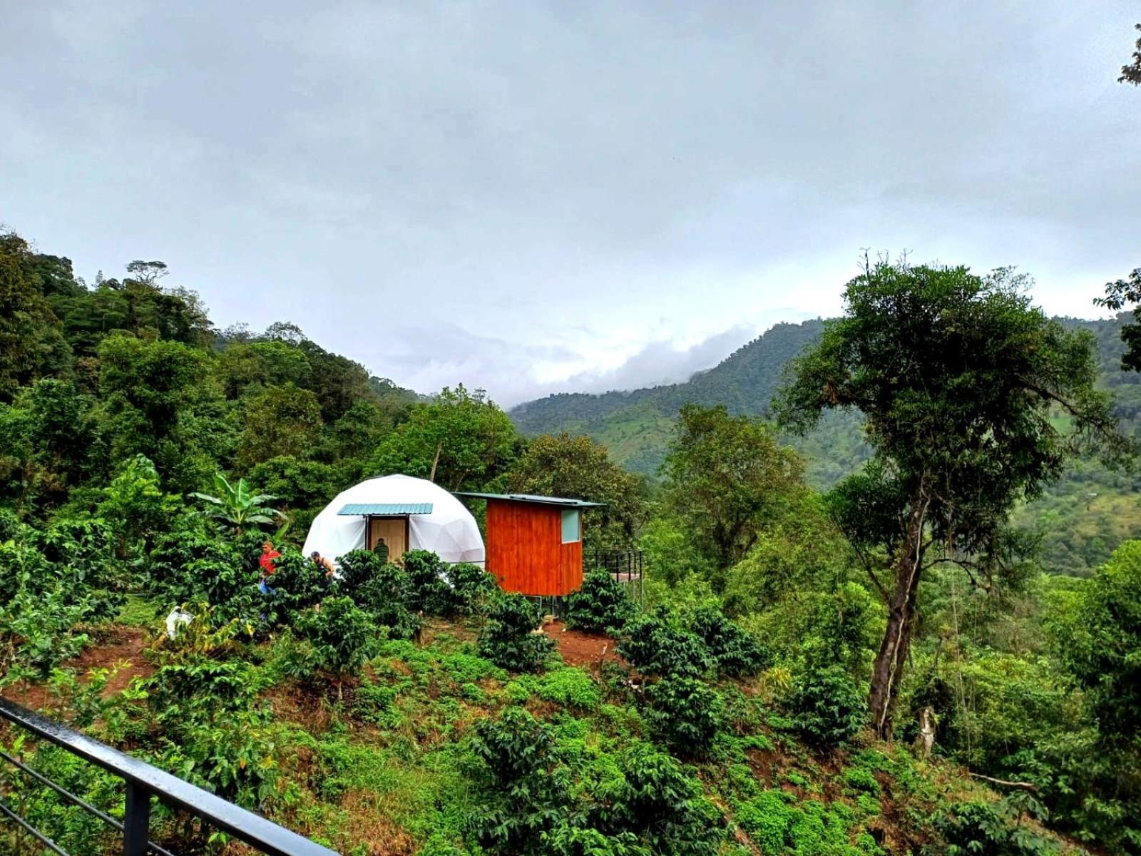 Hotel Rivel - Adventure&Nature Retreat Turrialba Exterior foto