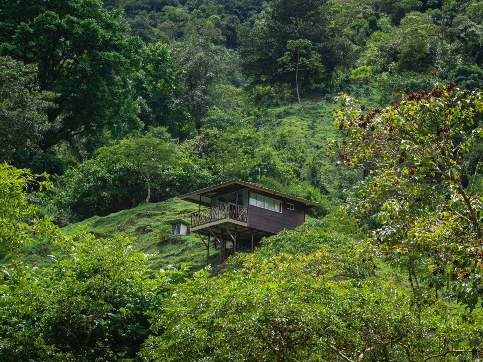 Hotel Rivel - Adventure&Nature Retreat Turrialba Exterior foto
