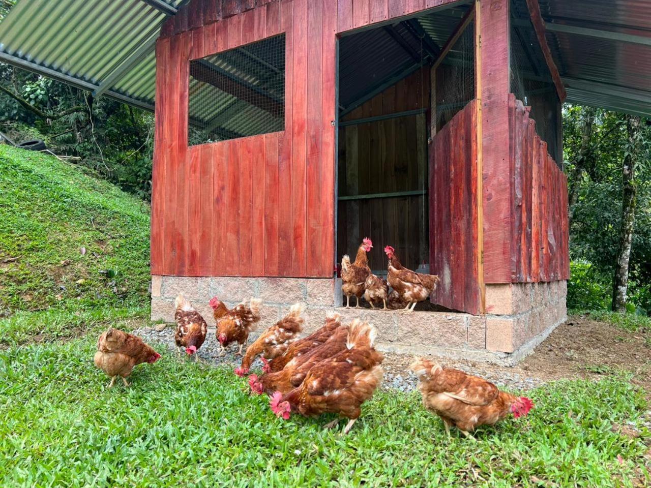 Hotel Rivel - Adventure&Nature Retreat Turrialba Exterior foto